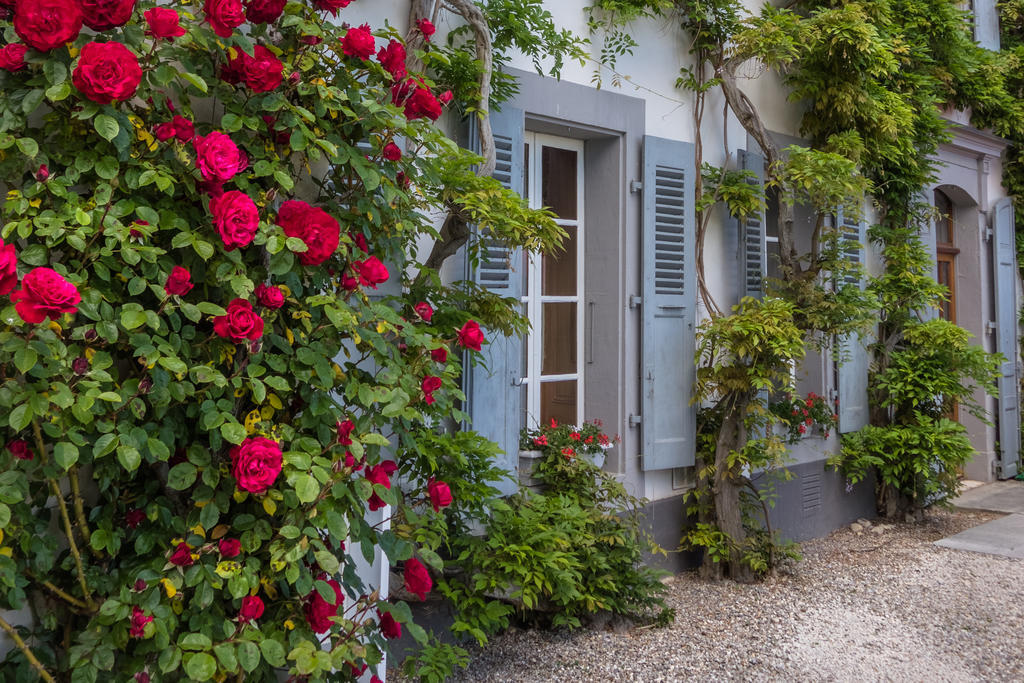 Chateau De Bossey Bogis-Bossey Екстериор снимка