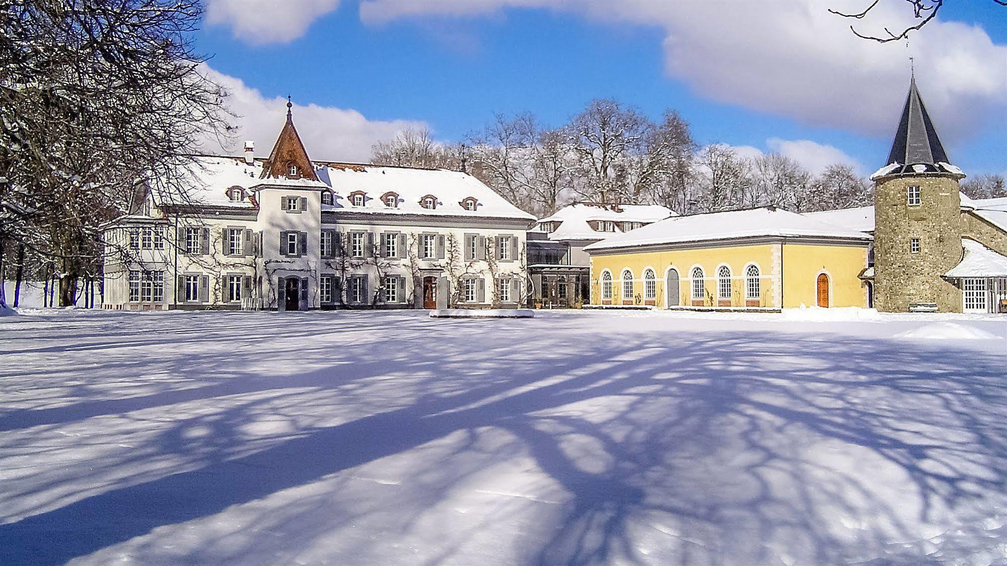 Chateau De Bossey Bogis-Bossey Екстериор снимка